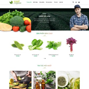 theme-wordpress-thuc-pham-sach-thuc-pham-huu-co-organic-3