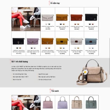 wpfast-theme-wordpress-ban-tui-xach-nu-dep-2