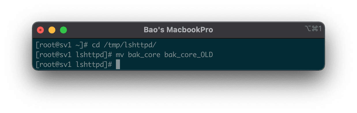 sua-loi-khoi-dong-openlitespeed-that-bai-2