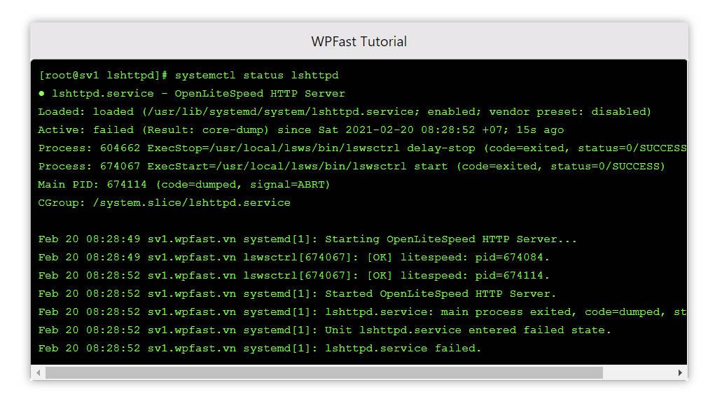 sua-loi-khoi-dong-openlitespeed-that-bai-3
