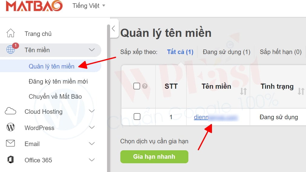 muatheme-chon-ten-mien-can-tro-ip-hosting-hawkhost-03042023