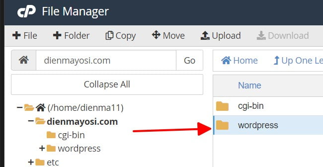 Double click vào folder wordpress