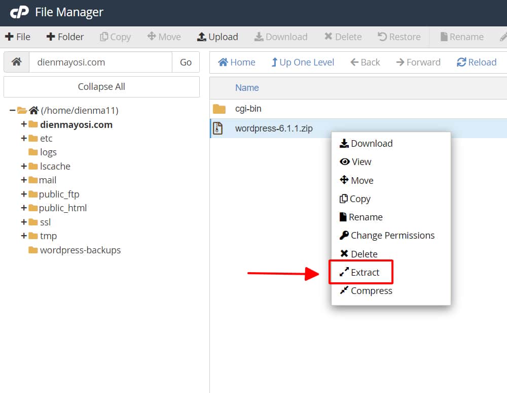 Giải nén file zip wordpress đã tải lên