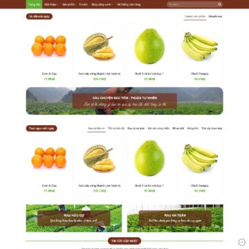 wpfast-theme-wordpress-ban-trai-cay-nhap-khau-thuc-pham-dinh-duong-2